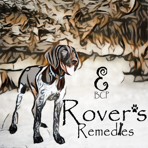 Rover&#39;s Remedies